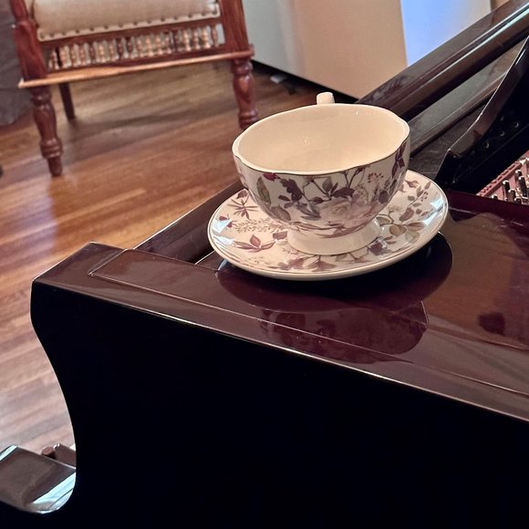 Beautiful Tea Cup and Saucer - Picture 15 of 15